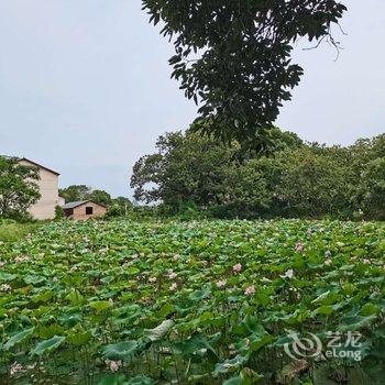 龙虎山吾栖客栈酒店提供图片