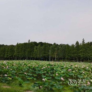 龙虎山吾栖客栈酒店提供图片