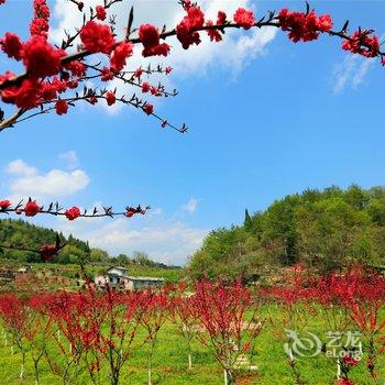 宜昌大家庭客栈酒店提供图片