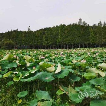 龙虎山吾栖客栈酒店提供图片