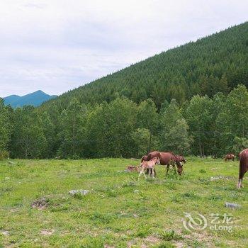 花筑·五台山山水竹林客栈酒店提供图片