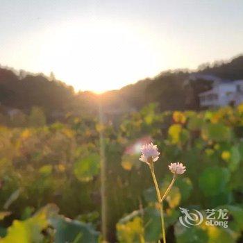 井冈山竹林三院酒店提供图片