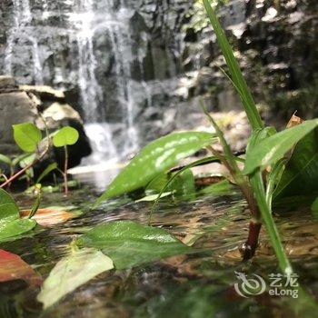 南靖宿野山居民宿酒店提供图片