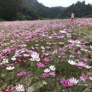 南靖宿野山居民宿酒店提供图片