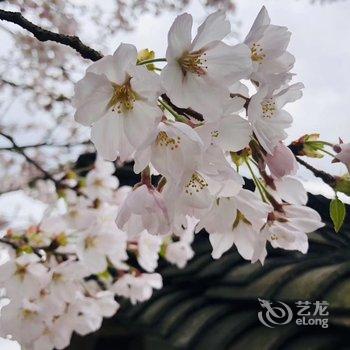 嵊州闲居民宿酒店提供图片