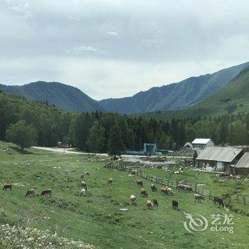 布尔津禾木贰拾贰民宿酒店提供图片