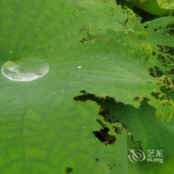 安吉吾同禅花民宿酒店提供图片