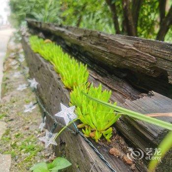 安吉吾同禅花民宿酒店提供图片