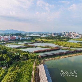 佛山鑫泊美的鹭湖度假公寓酒店提供图片