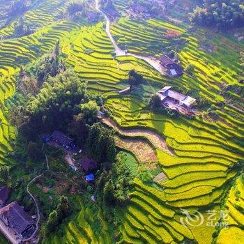 紫鹊界聚客楼酒店提供图片