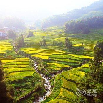 紫鹊界聚客楼酒店提供图片