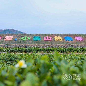 日照小茶山民宿酒店提供图片