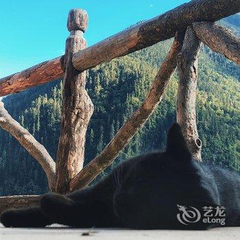 德钦山月客栈酒店提供图片