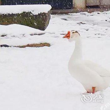 泾县祥园客栈酒店提供图片