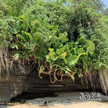 涠洲岛M·海景泳池民宿酒店提供图片