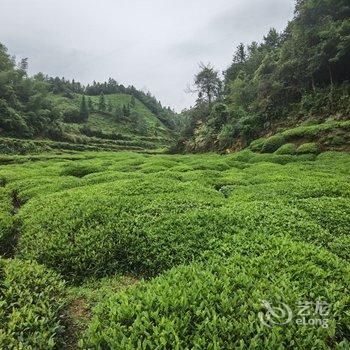 黄山静山别院民宿酒店提供图片