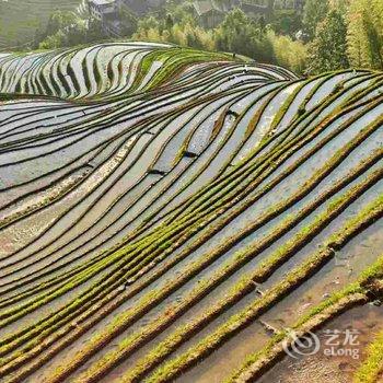 龙胜环龙阁全景客栈酒店提供图片