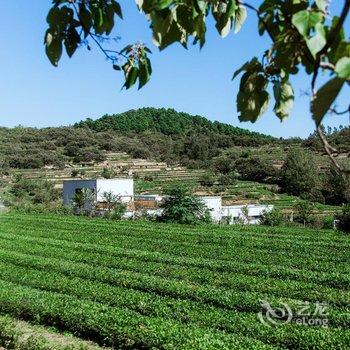 日照小茶山民宿酒店提供图片