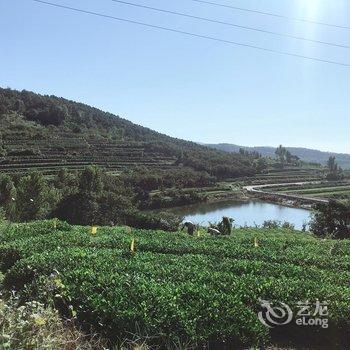 日照小茶山民宿酒店提供图片