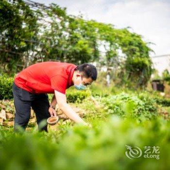 日照小茶山民宿酒店提供图片