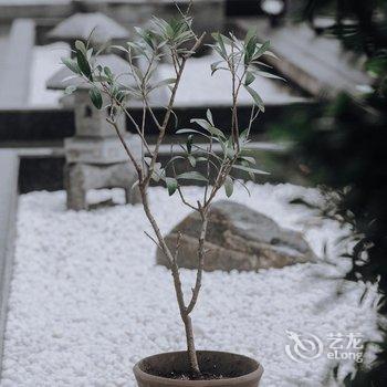 普陀山山水花园酒店酒店提供图片