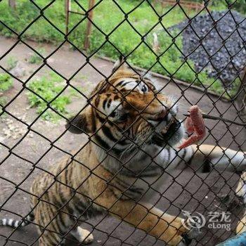 长白山蓝景国际生态交流中心酒店提供图片