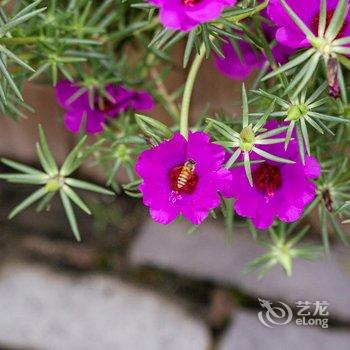 丹霞山桂花客栈酒店提供图片