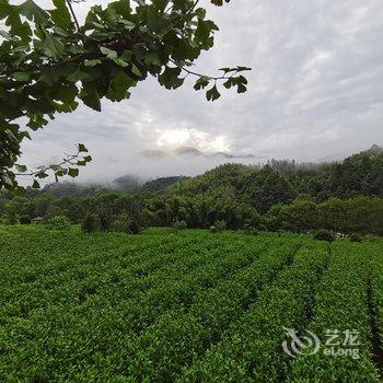 岳西绿福园农家乐酒店提供图片