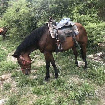 野三坡无边界客栈酒店提供图片