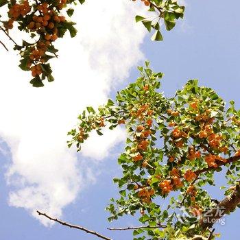 盘州占芭客栈酒店提供图片