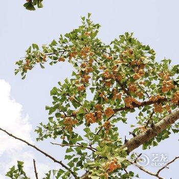 盘州占芭客栈酒店提供图片