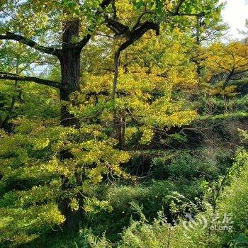 盘州占芭客栈酒店提供图片