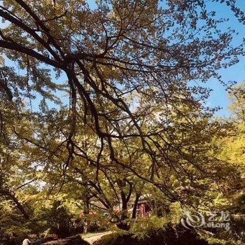 盘州占芭客栈酒店提供图片