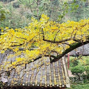 盘州占芭客栈酒店提供图片