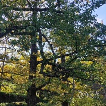 盘州占芭客栈酒店提供图片
