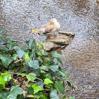 盘州占芭客栈酒店提供图片