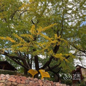 盘州占芭客栈酒店提供图片