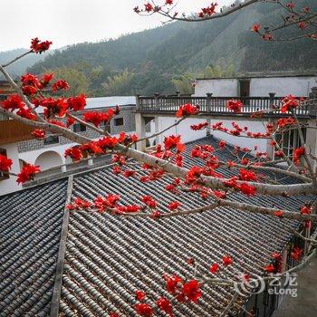 大埔禾肚里稻田民宿酒店提供图片