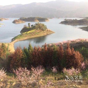 仙岛湖仙岛百味农庄酒店提供图片