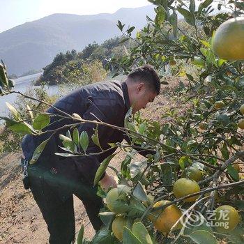 仙岛湖仙岛百味农庄酒店提供图片