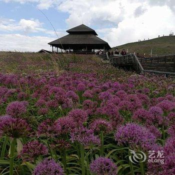 赫章黔巅花海酒店酒店提供图片