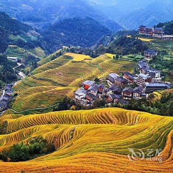 龙脊懿丽瑶家民宿酒店提供图片