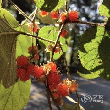 莫干山奢隐度假酒店酒店提供图片