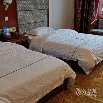 百色国兴大酒店酒店提供图片
