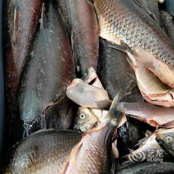 查干湖新庙渔猎部落特色民宿酒店提供图片