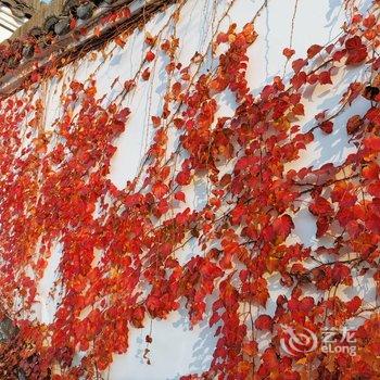 婺源遇见晓鳙民宿酒店提供图片