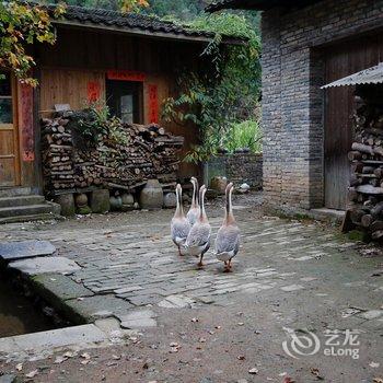 景德镇隐居景德艺术酒店酒店提供图片