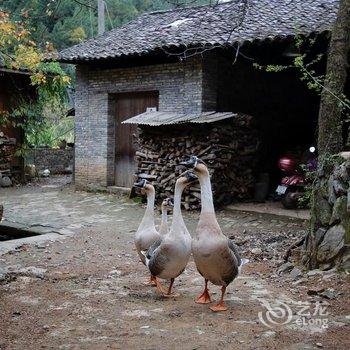 景德镇隐居景德艺术酒店酒店提供图片