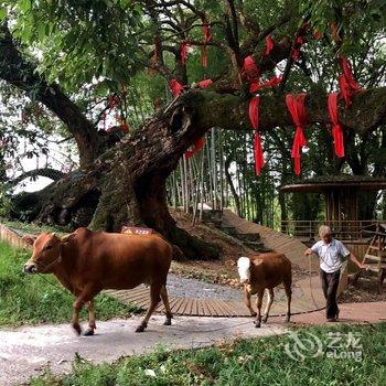 万安木塘客栈酒店提供图片