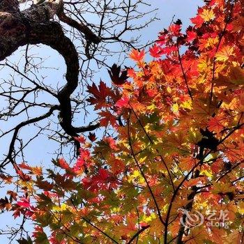 婺源篁岭锦园山居民宿酒店提供图片